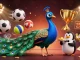 Bong88 features a peacock, penguin, and hummingbird, showcasing vibrant sports elements in an engaging casino scene.